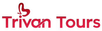 light logo